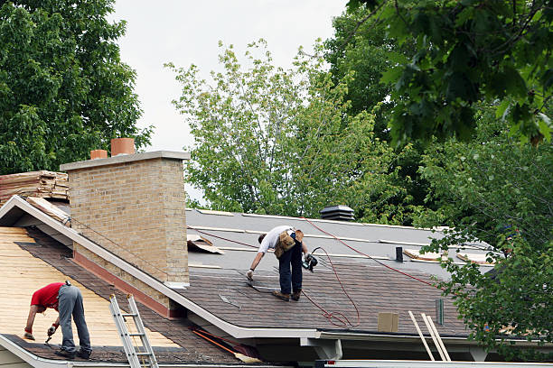 Best Shingle Roofing Installation  in Churubusco, IN